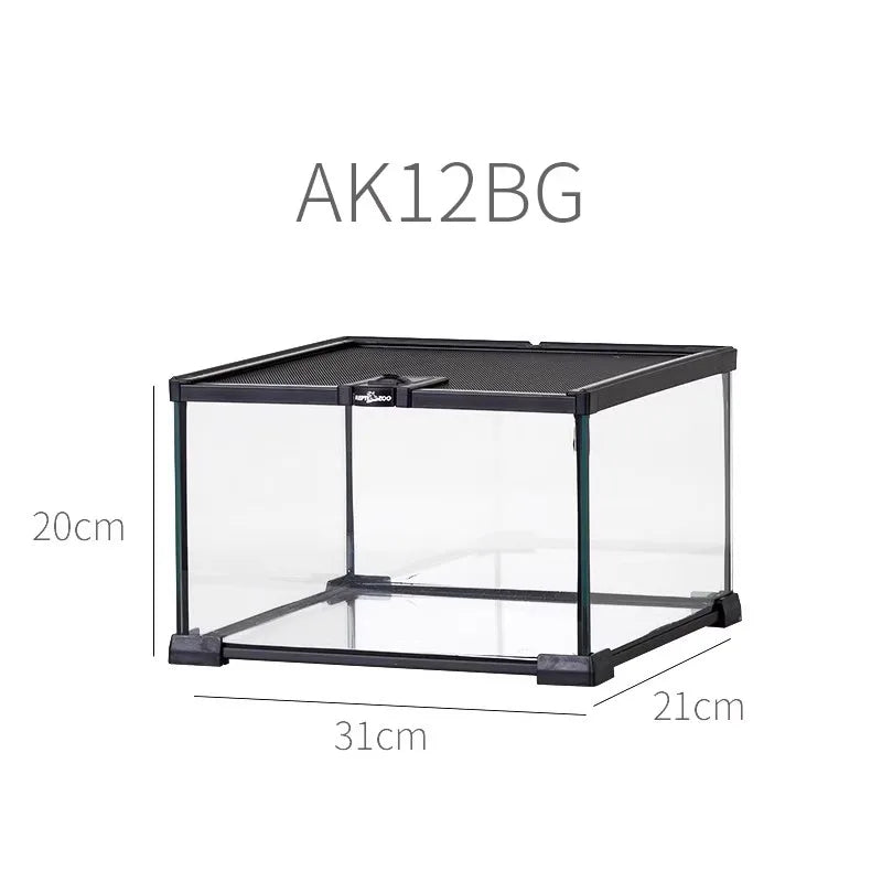 Terrarium pour grenouilles – Verre jungle tropical