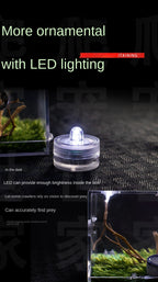 Terrarium pour escargots – Acrylique mini humide