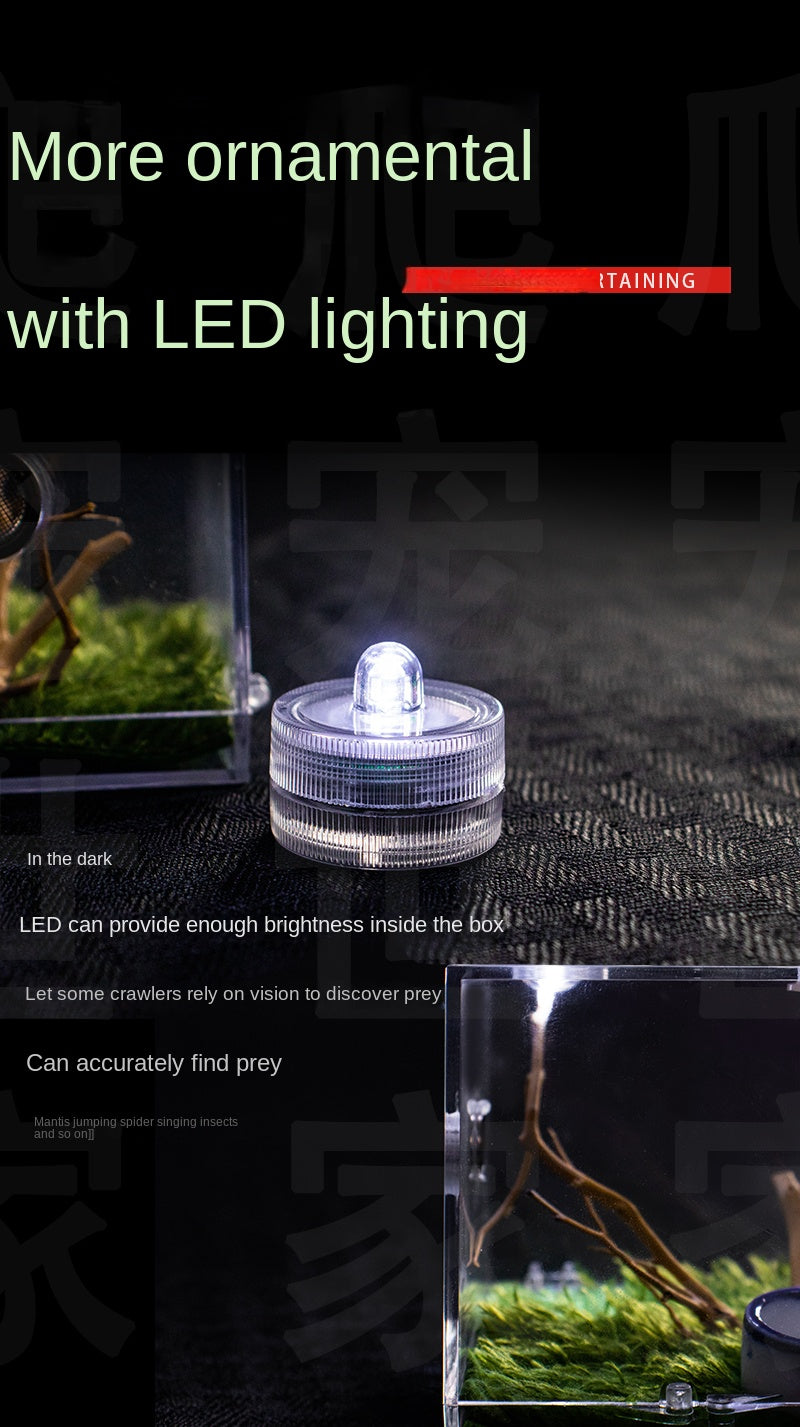 Terrarium pour phasmes – Acrylique clair vertical