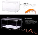 Terrarium pour phasmes – Acrylic léger aéré