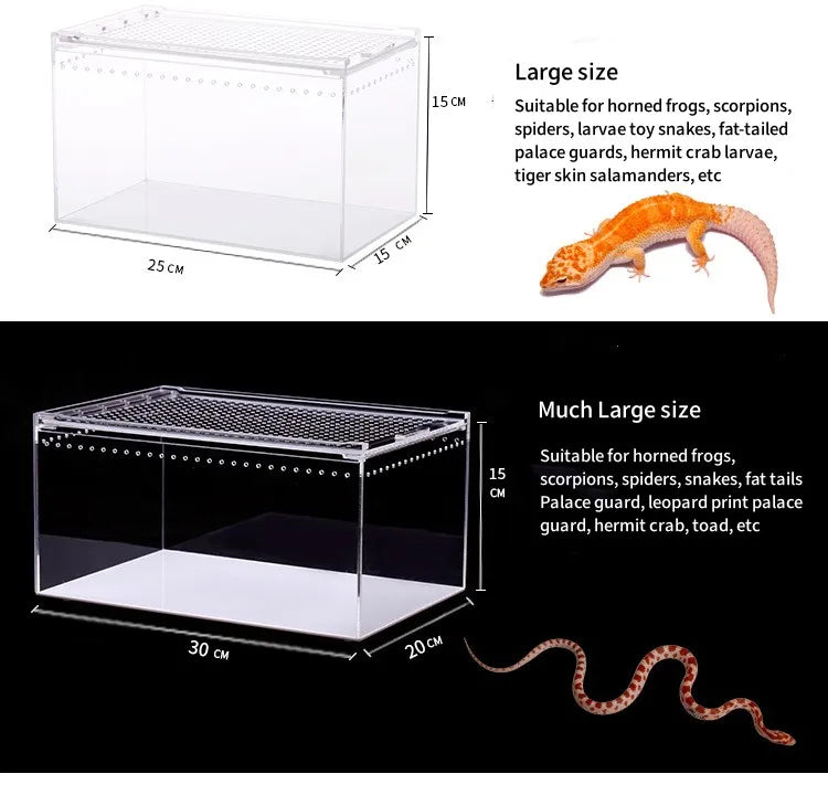 Terrarium pour phasmes – Acrylic léger aéré
