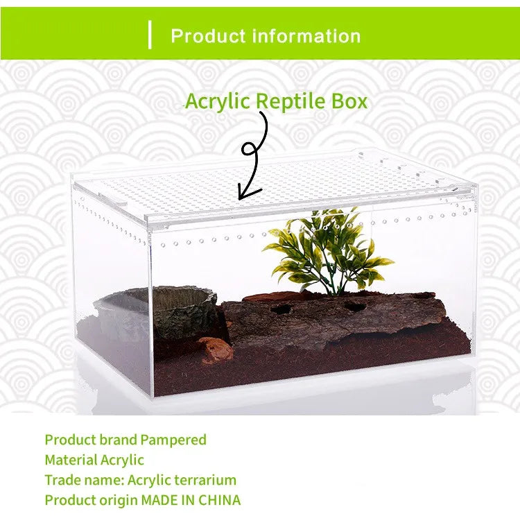 Terrarium pour phasmes – Acrylic léger aéré