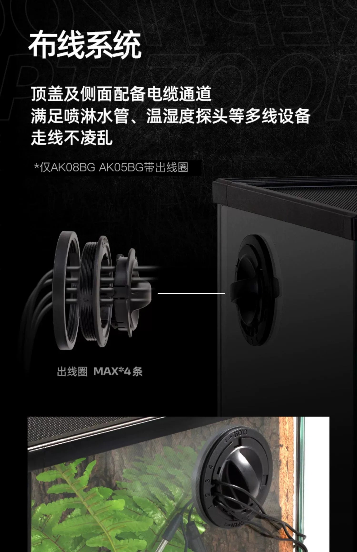 Terrarium pour escargots – Verre humide