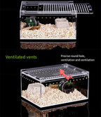 Terrarium pour phasmes – Acrylic léger aéré