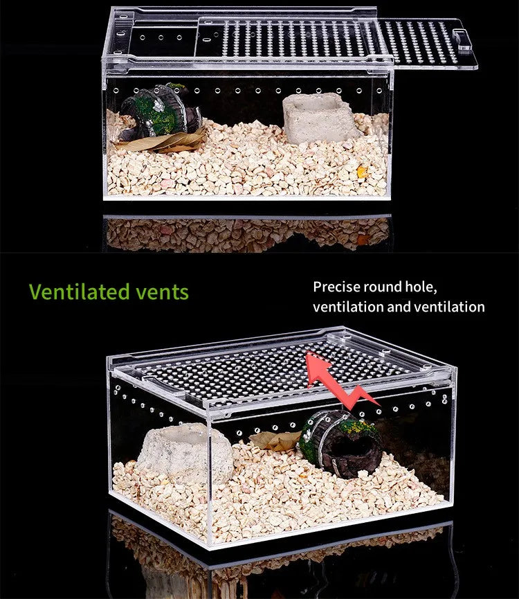 Terrarium pour phasmes – Acrylic léger aéré