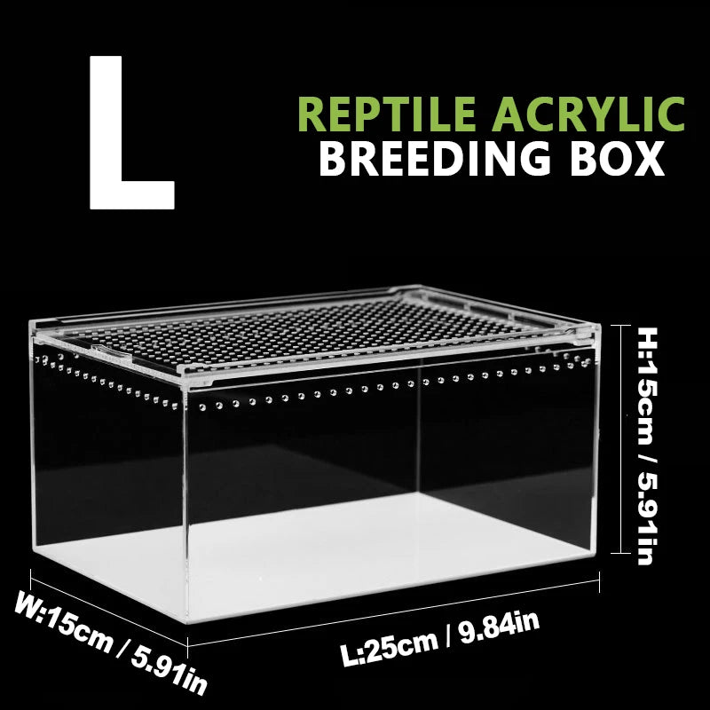 Terrarium pour phasmes – Acrylic léger aéré