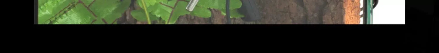 Terrarium pour escargots – Verre humide