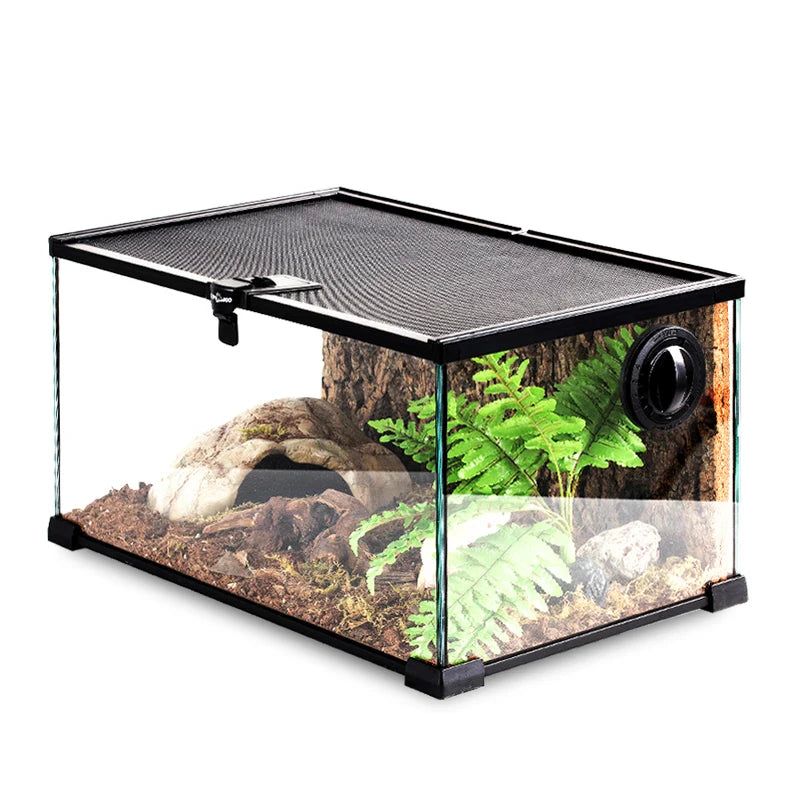 Terrarium pour escargots – Verre humide
