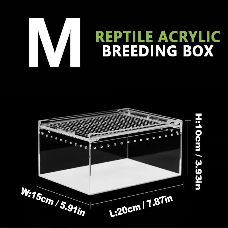 Terrarium pour phasmes – Acrylic léger aéré