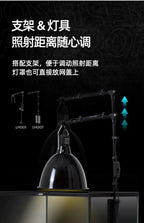 Terrarium pour escargots – Verre humide