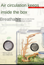 Terrarium pour phasmes – Acrylique clair vertical