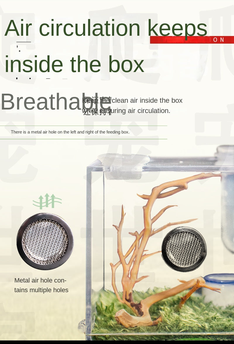 Terrarium pour phasmes – Acrylique clair vertical