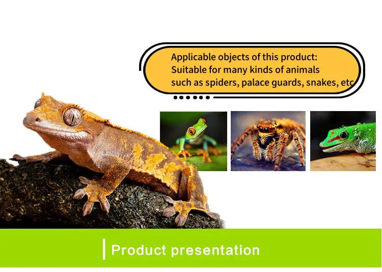 Terrarium pour phasmes – Acrylic léger aéré