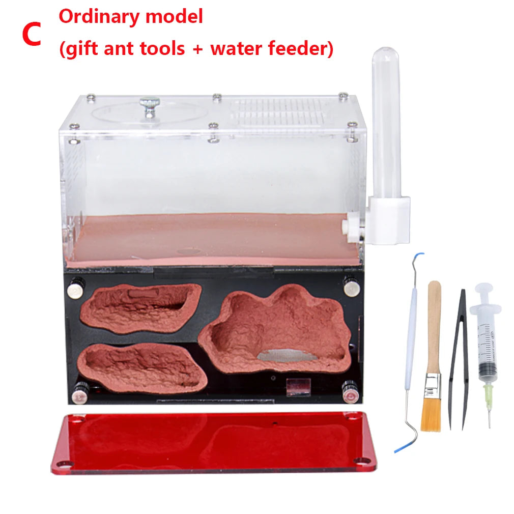 Terrarium pour fourmis – Acrylique rouge naturel