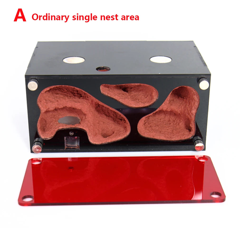 Terrarium pour fourmis – Acrylique rouge naturel