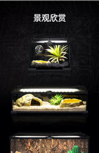 Terrarium pour escargots – Verre humide