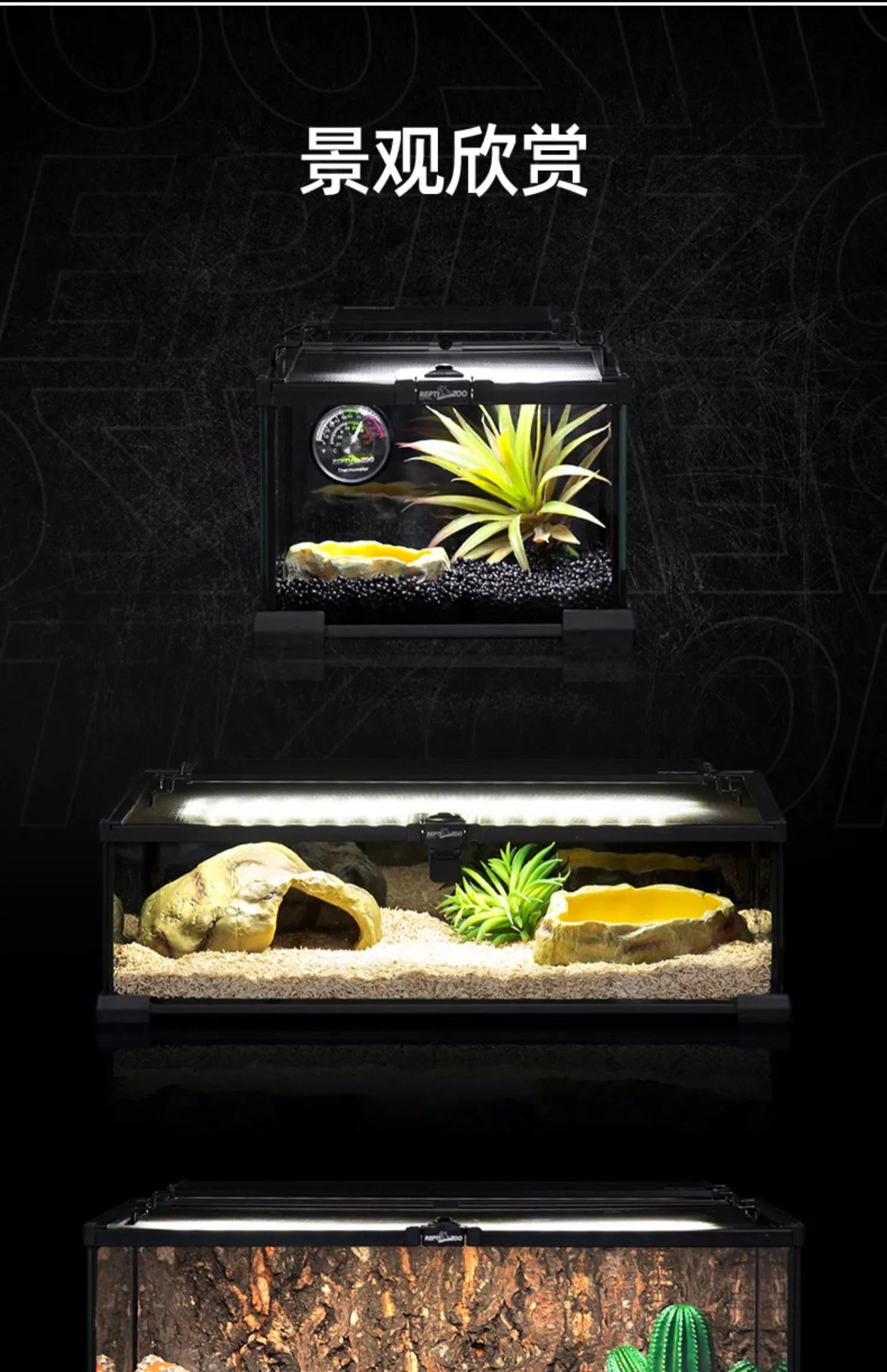 Terrarium pour escargots – Verre humide