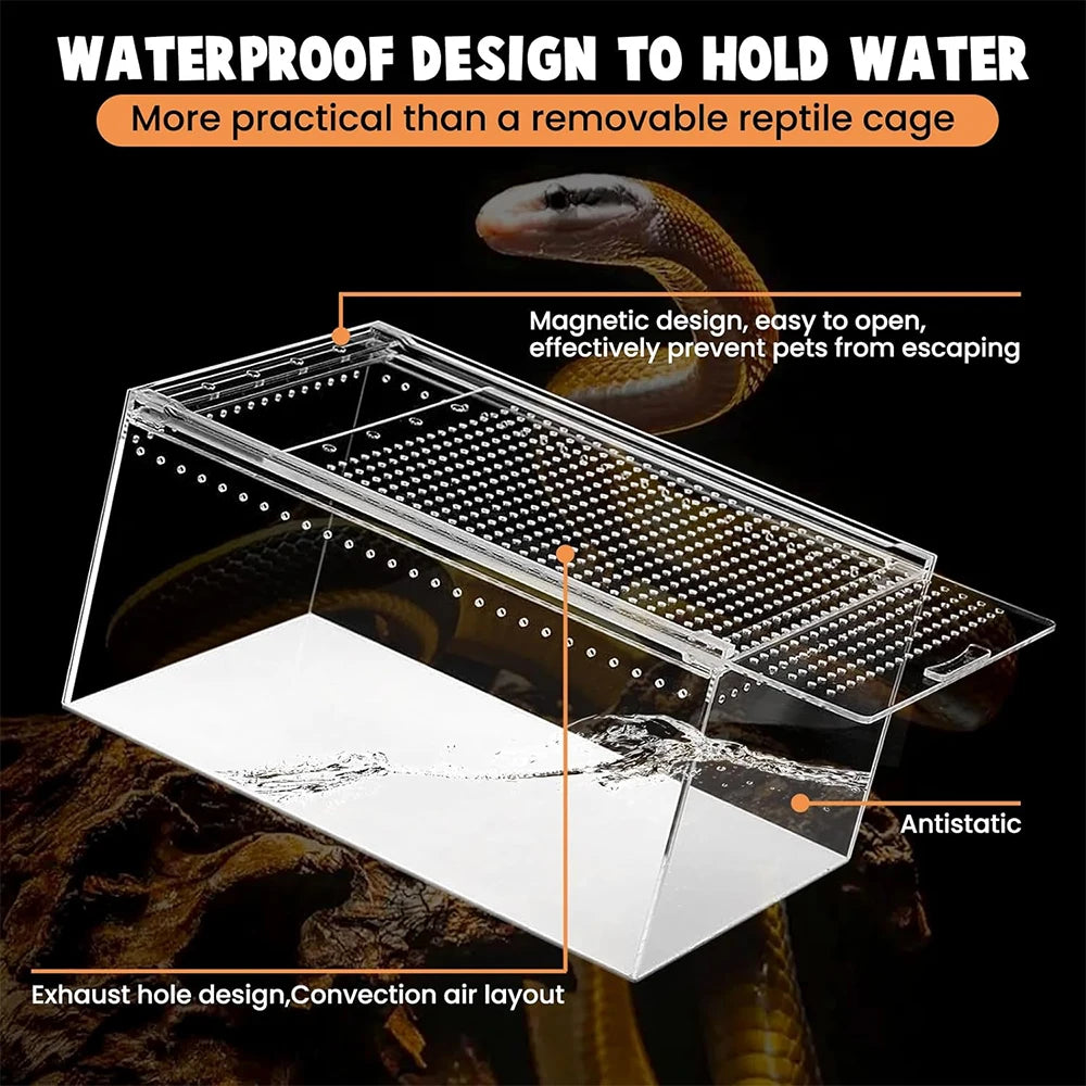 Terrarium pour phasmes – Acrylic léger aéré
