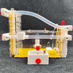 Terrarium pour fourmis – Acrylique galerie modulaire