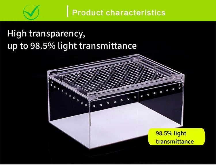 Terrarium pour phasmes – Acrylic léger aéré