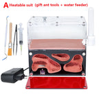 Terrarium pour fourmis – Acrylique rouge naturel