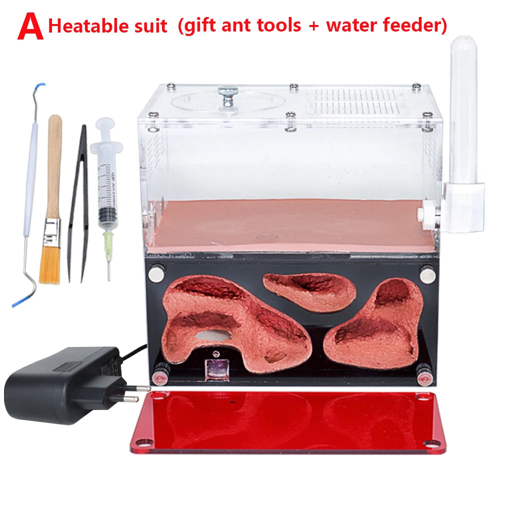 Terrarium pour fourmis – Acrylique rouge naturel