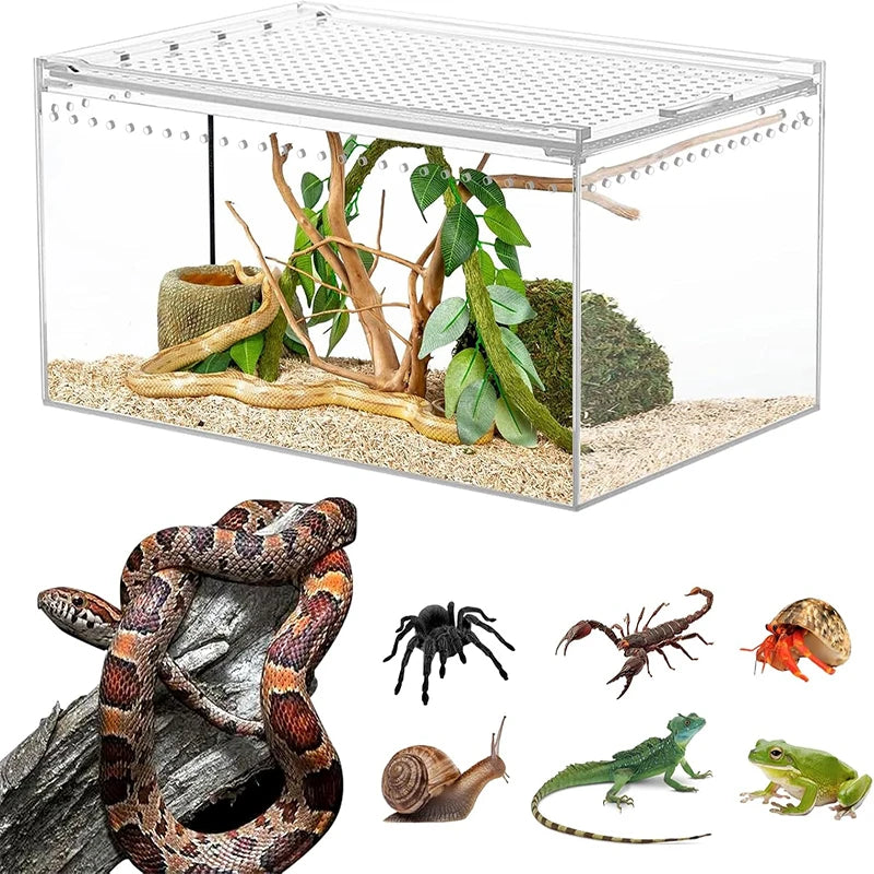 Terrarium pour phasmes – Acrylic léger aéré