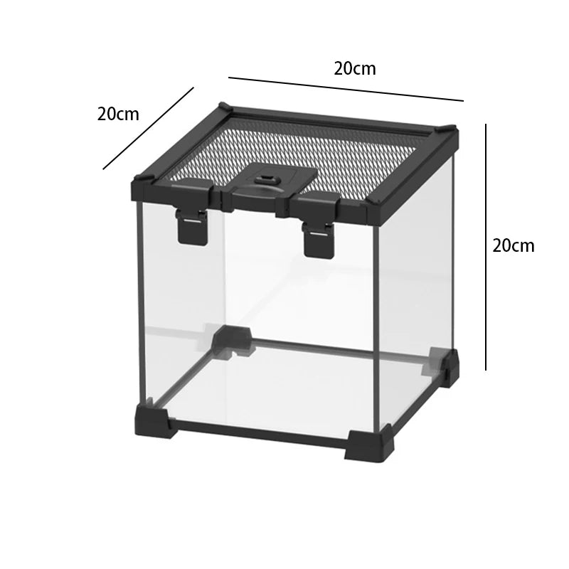 Terrarium pour grenouilles – Verre tropical aéré