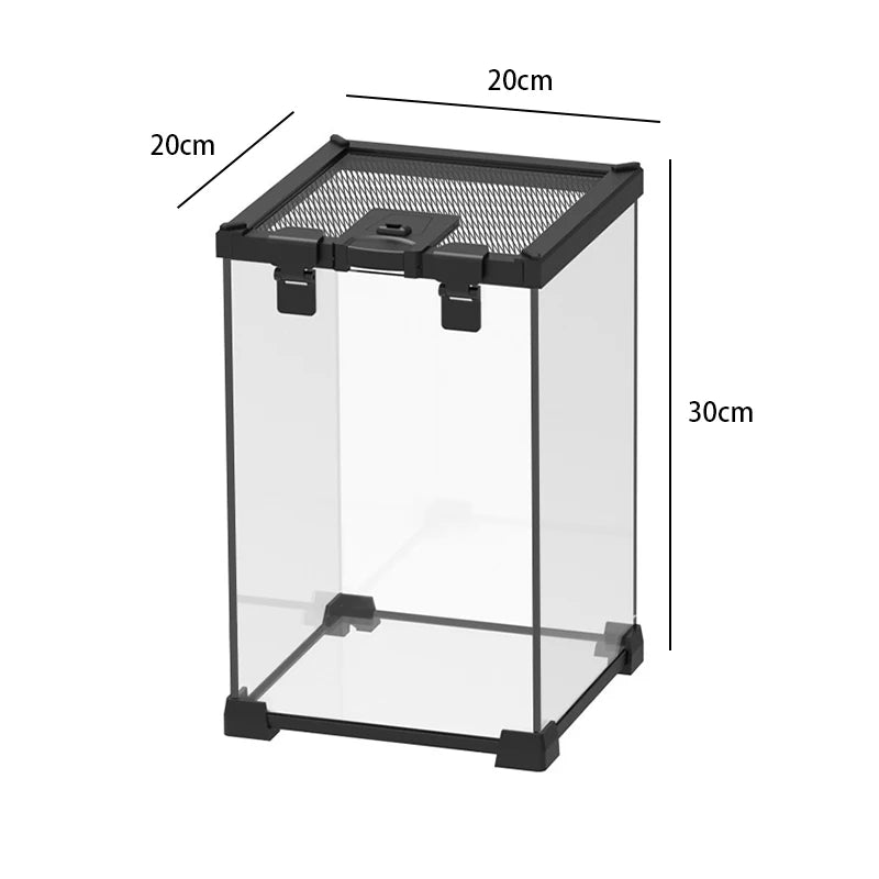 Terrarium pour phasmes – Verre haut respirant