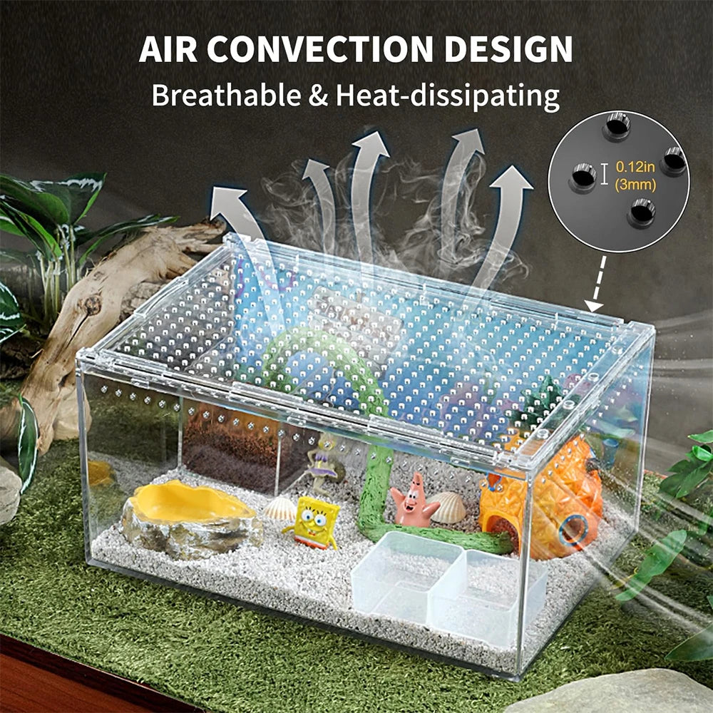 Terrarium pour phasmes – Acrylic léger aéré