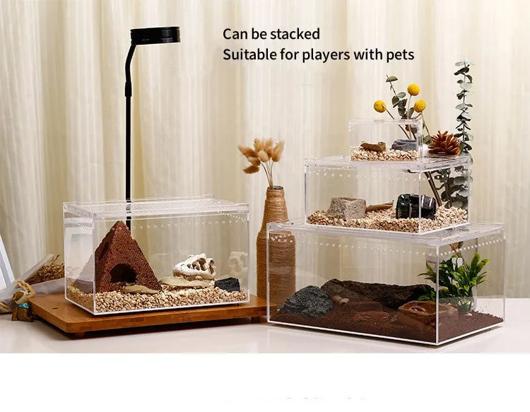 Terrarium pour phasmes – Acrylic léger aéré