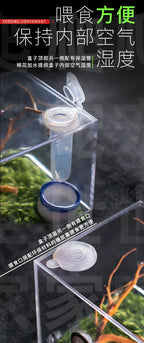 Terrarium pour phasmes – Acrylique clair vertical