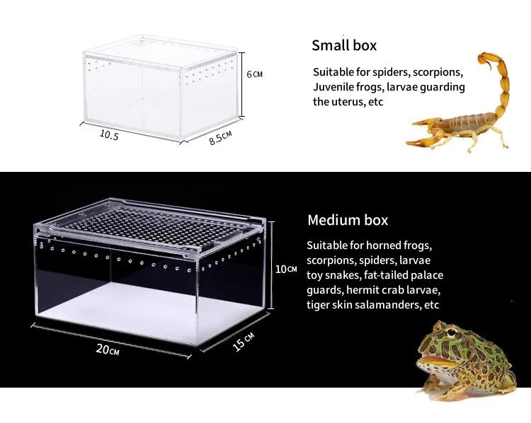 Terrarium pour phasmes – Acrylic léger aéré