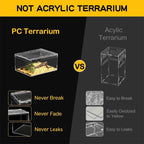 Terrarium pour phasmes – Acrylic léger aéré