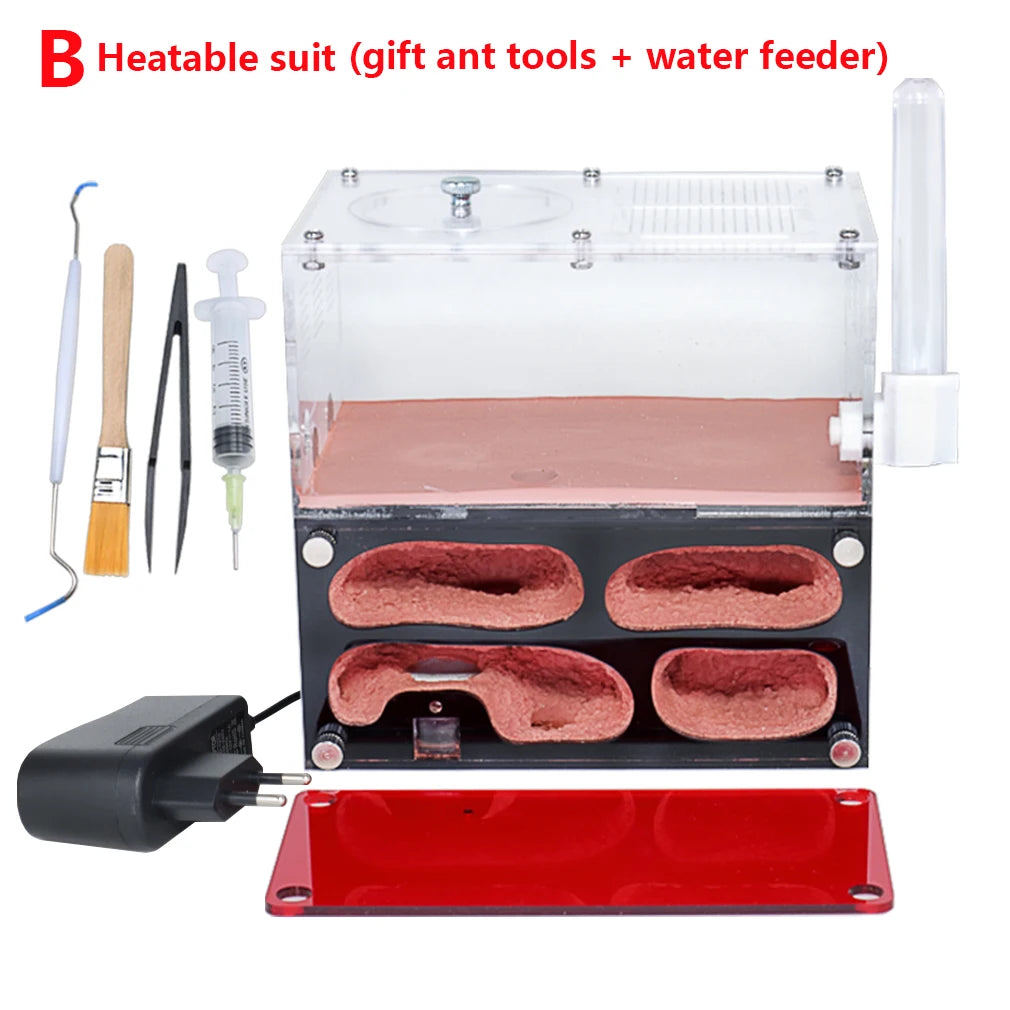 Terrarium pour fourmis – Acrylique rouge naturel