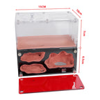 Terrarium pour fourmis – Acrylique rouge naturel