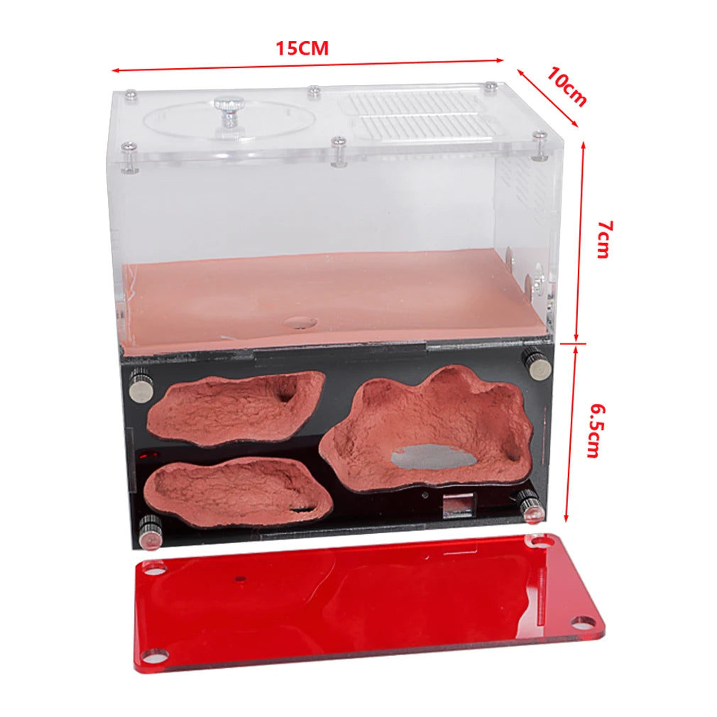 Terrarium pour fourmis – Acrylique rouge naturel
