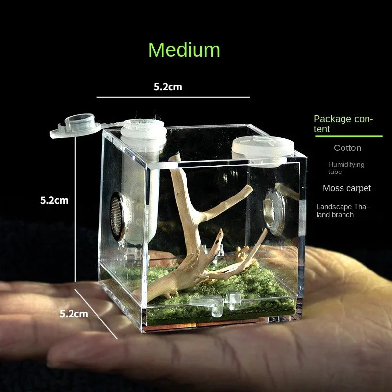 Terrarium pour phasmes – Acrylique clair vertical
