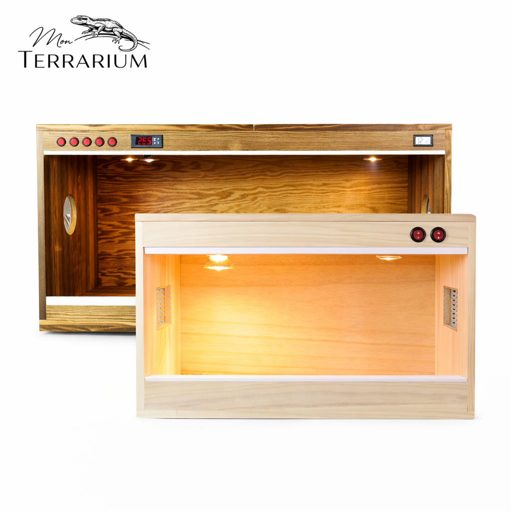 Terrarium pour phasmes – Bois vertical ventilé