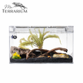Terrarium pour phasmes – Plastic léger sécurisé